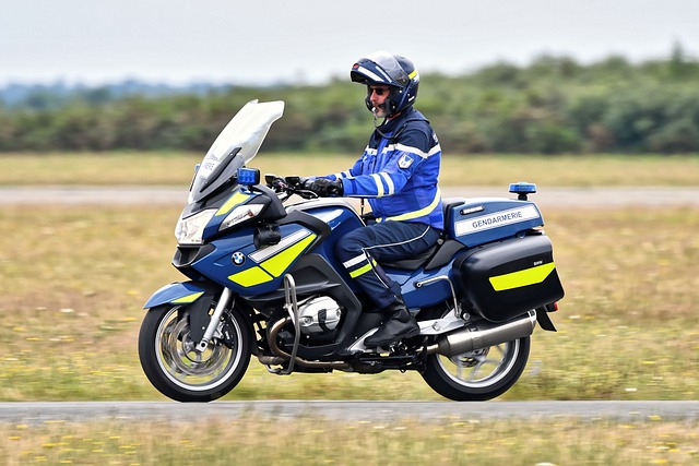 Les seuls vrais motards